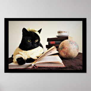Poster Tempo de Estudo