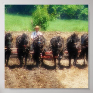 Poster Tempo de Plantação