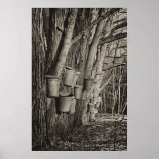 Póster Tempo de Xarope do Maple