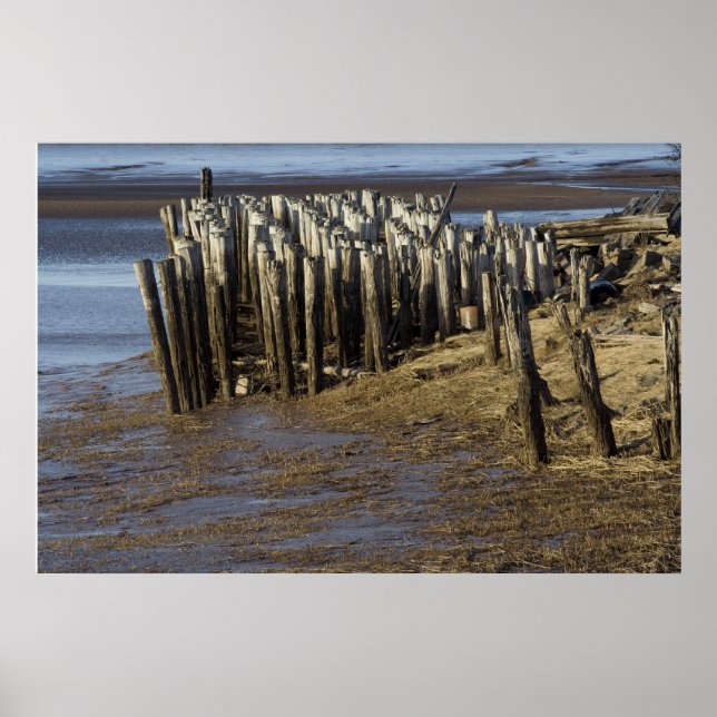 Poster tempo e Vestido (Frente)