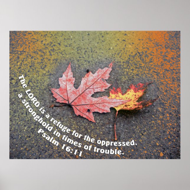 Póster Tempos de Problemas (Frente)