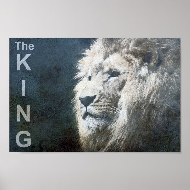 Poster Tendência Personalizada Lion Modelo Nature Animal  (Frente)