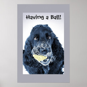 Póster Tendo uma bola!