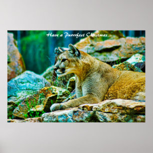 Poster Tenha um Natal Puro