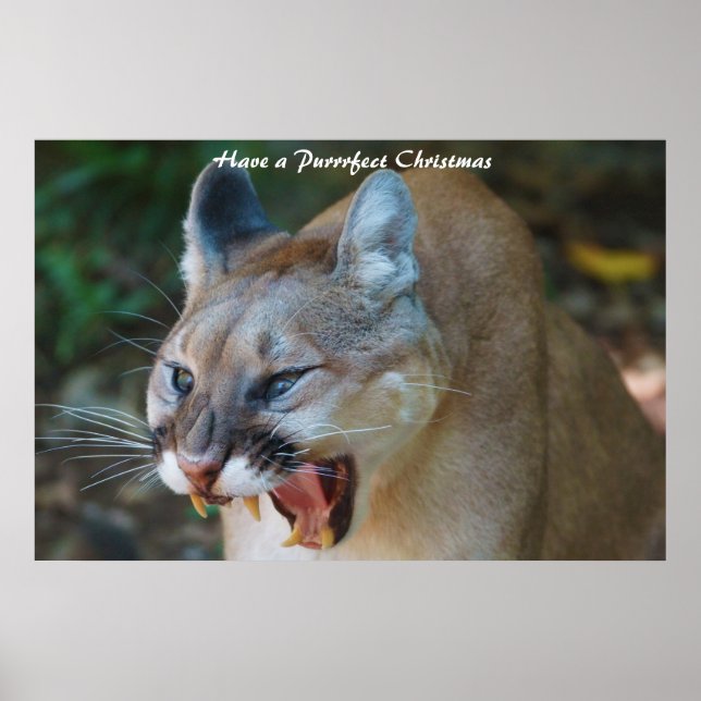 Poster Tenha um Natal Puro (Frente)