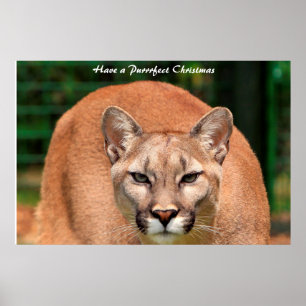 Poster Tenha um Natal Puro