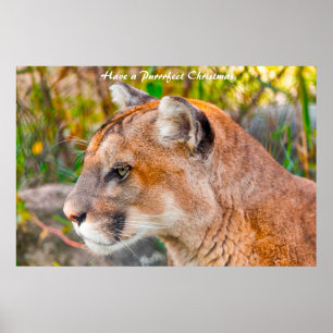 Poster Tenha um Natal Puro