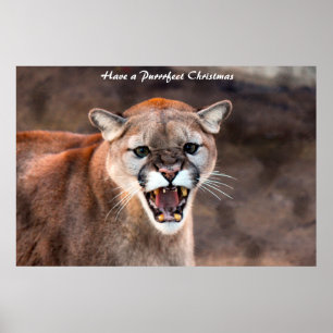 Poster Tenha um Natal Purrfeito