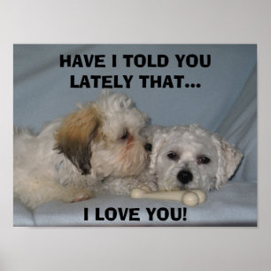 PÓSTER TENHO EU DISSE-LHE ULTIMAMENTE ISSO… EU AMO…