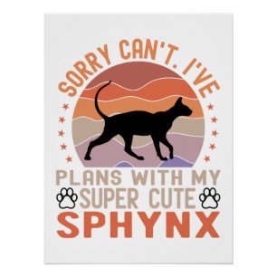 Póster Tenho planos com meu gato Sphynx