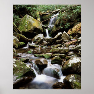 Póster Tennessee, Parque Nacional das Grandes Montanhas F