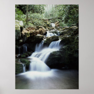 Póster Tennessee, Parque Nacional Great Smoky Mountains 3