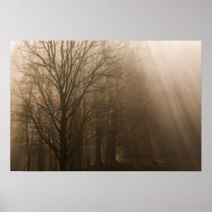 Póster Tennessee Trees em Fog  Montanha Enfumaçado Excel