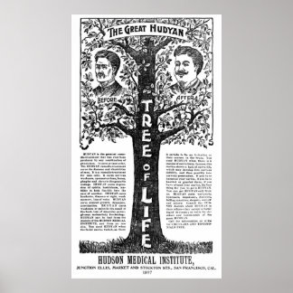 Póster Terapêutica Remedio Hudyan - 1897