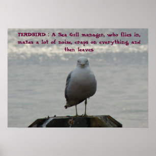 Poster TERDBIRD: Um gerente da gaivota de mar, que fl…