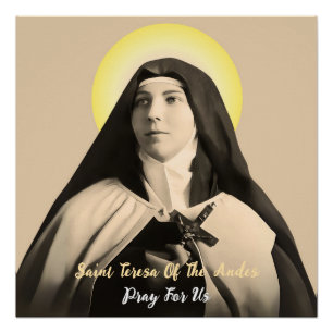 Póster TERESA santo DOS ANDES