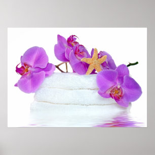 Poster Termas tropicais