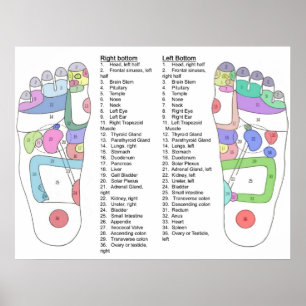 Póster Termine o diagrama do Acupressure do pé