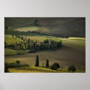 Póster Terra agrícola ao redor de Montepulciano, Toscana,