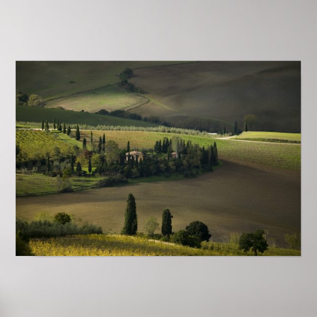 Póster Terra agrícola em torno de Montepulciano, Toscana, (Frente)
