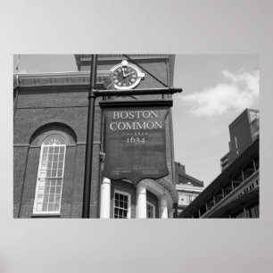 Póster Terra comum de Boston