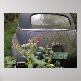 Póster Terra de 10.000 lagos