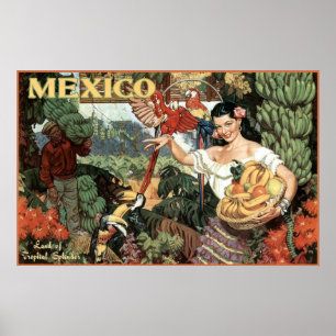 Póster terra de México do esplendor tropical