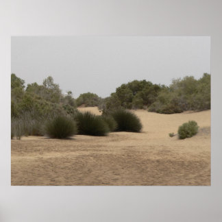 Póster Terra do deserto 1