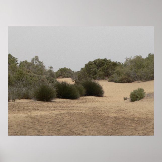 Póster Terra do deserto 1 (Frente)