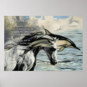 Póster Terra do irmão, mar da irmã