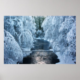 Póster Terra Dos Elfos