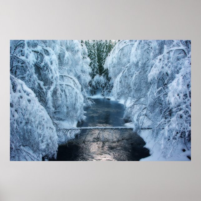 Póster Terra Dos Elfos (Frente)