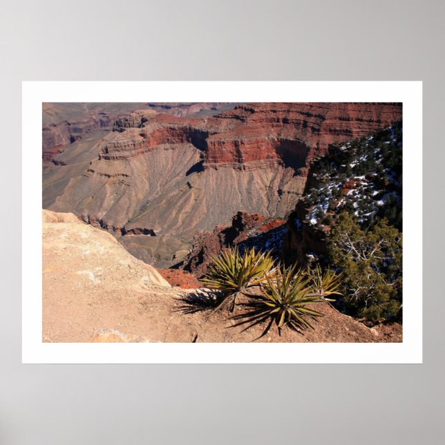 Póster Terra em camadas (Frente)