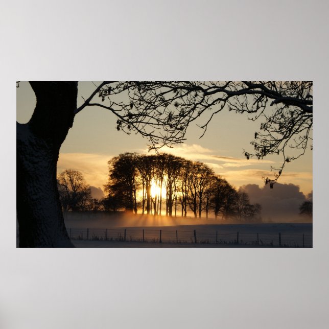 Poster Terra maravilhosa do inverno (Frente)