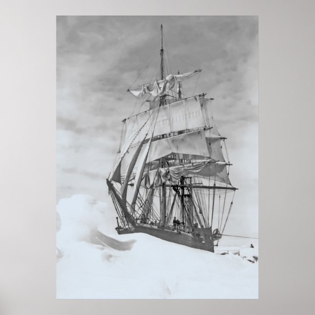 Póster Terra Nova (Frente)