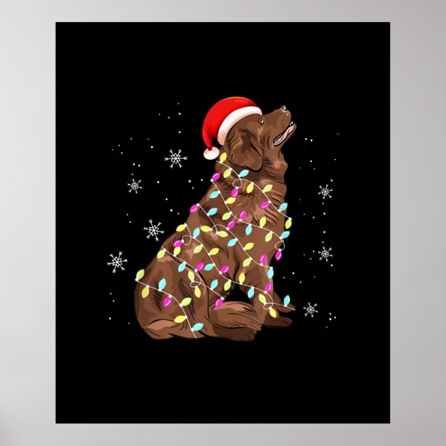 Poster Terra Nova - Luz de Natal | Sobrenome De Cães (Frente)