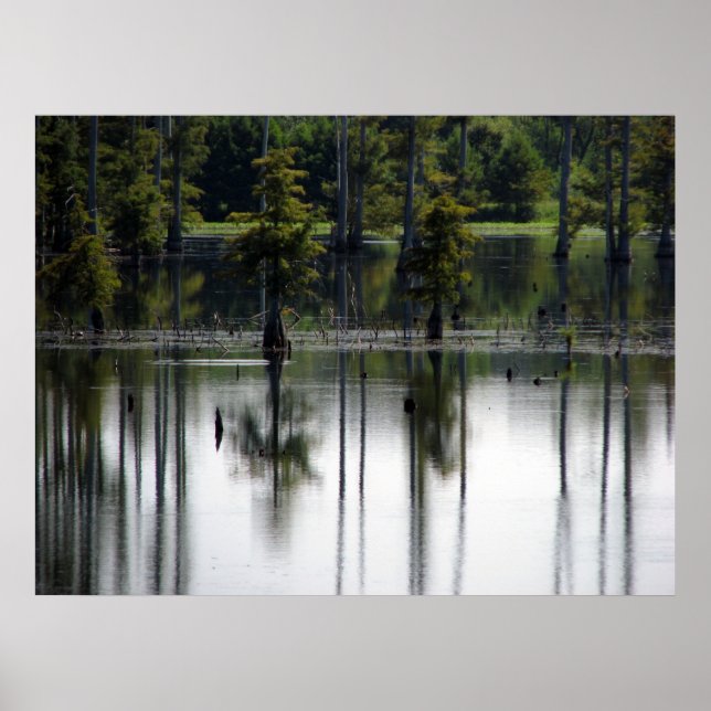 Póster Terras dos pântanos (Frente)