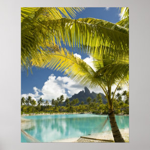 Póster Terrenos e paisagens do novo luxuoso St. Regis