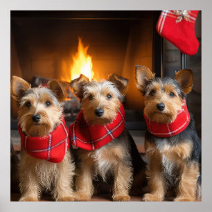 Poster Terrier Australiano junto à Lareira Natal