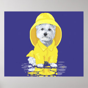 Poster Terrier Branco do West Highland April Showers