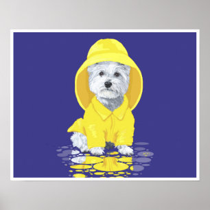 Póster Terrier Branco do West Highland April Showers