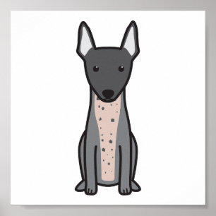 Poster Terrier calvo americano