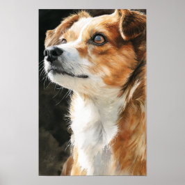 Poster Terrier chihuahua mixed breed dog closeup