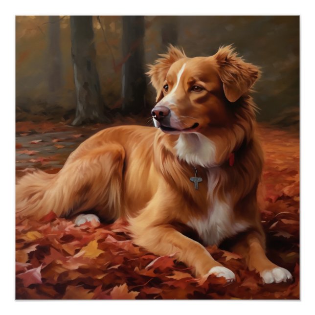 Póster Terrier da Nova Escócia no Outono as Folhas Caem (Frente)