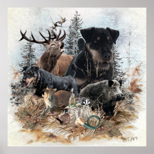 Poster Terrier de Caça Alemão (Jagdterrier)