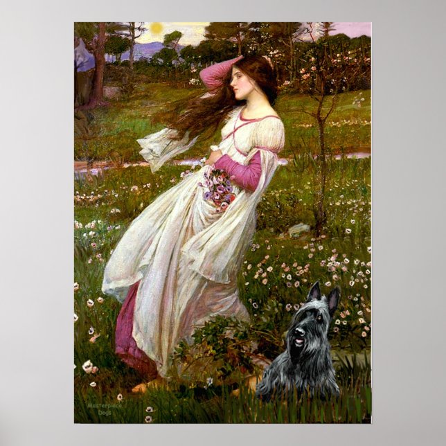 Poster Terrier Escocês 3 - Windflowers (Frente)