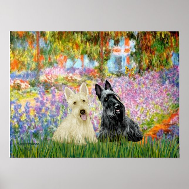 Póster Terrier Escocês (dois PB) - Jardim (Frente)