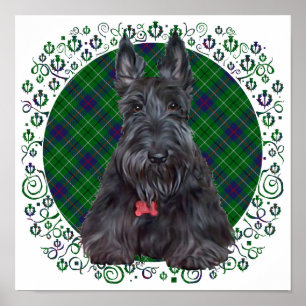 Póster Terrier Escocês em Tartan
