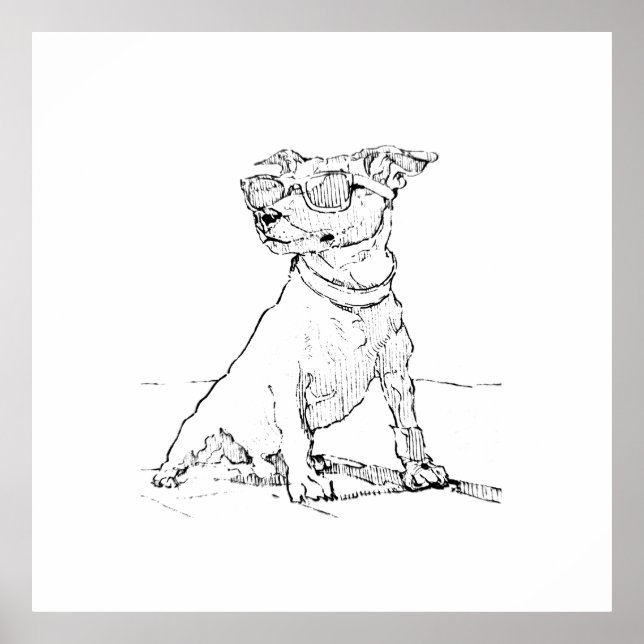 Poster Terrier Jack Russell  (Frente)