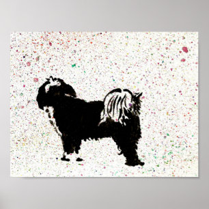 Poster Terrier tibetano - olhando para fora